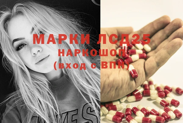гашик Козловка