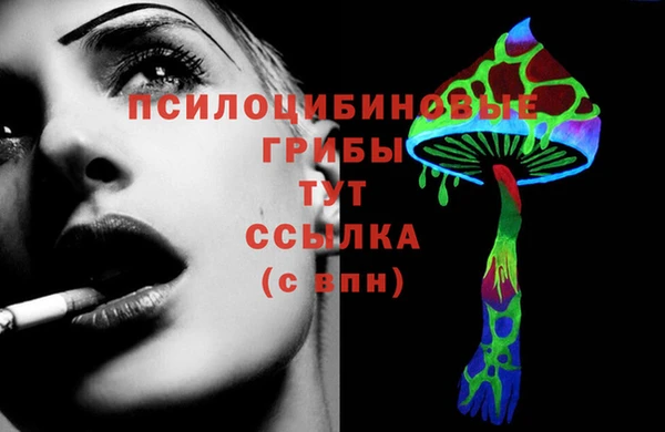 стафф Корсаков