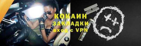 гашик Козловка