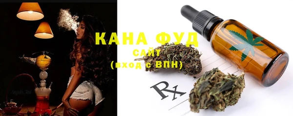 гашик Козловка