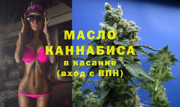 гашик Козловка