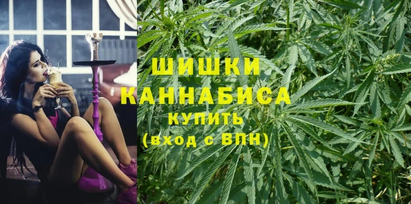 дмт Козельск