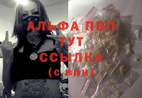 гашик Козловка
