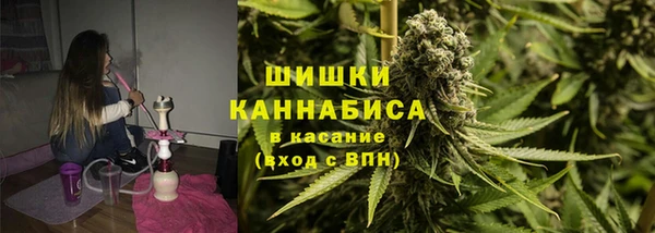 гашик Козловка
