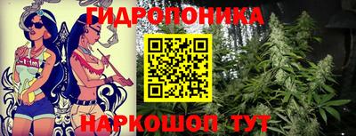 мяу мяу мука Апшеронск