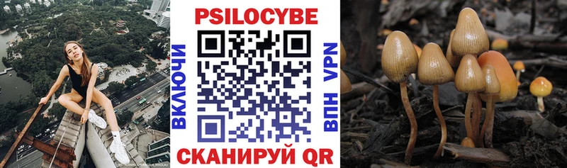 Псилоцибиновые грибы Psilocybine cubensis blacksprut как зайти Батайск