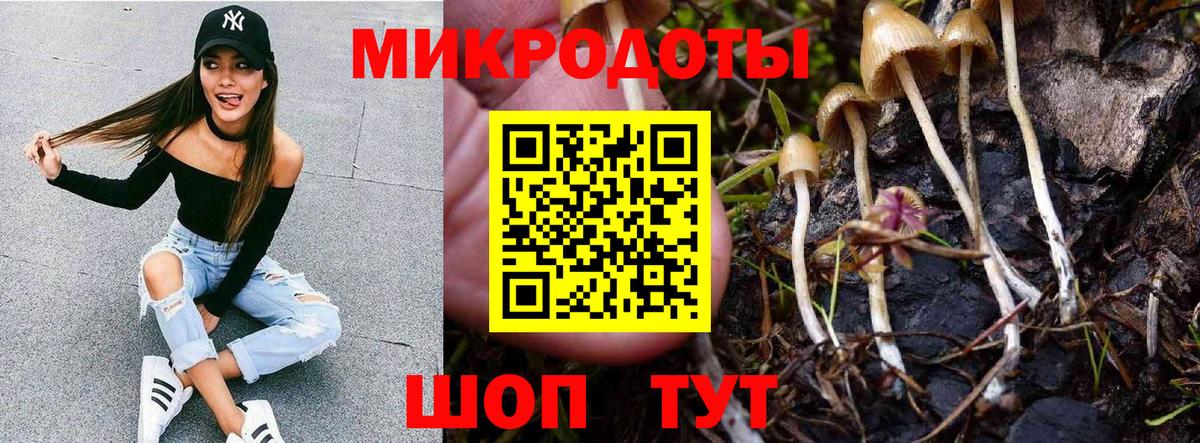 Батайск  купить  сайты  Вход с VPN  Галлюциногенные грибы GOLDEN TEACHER 